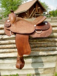 Saddle # 61.