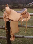 Saddle 48