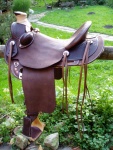 Saddle# 77-Lady Wade